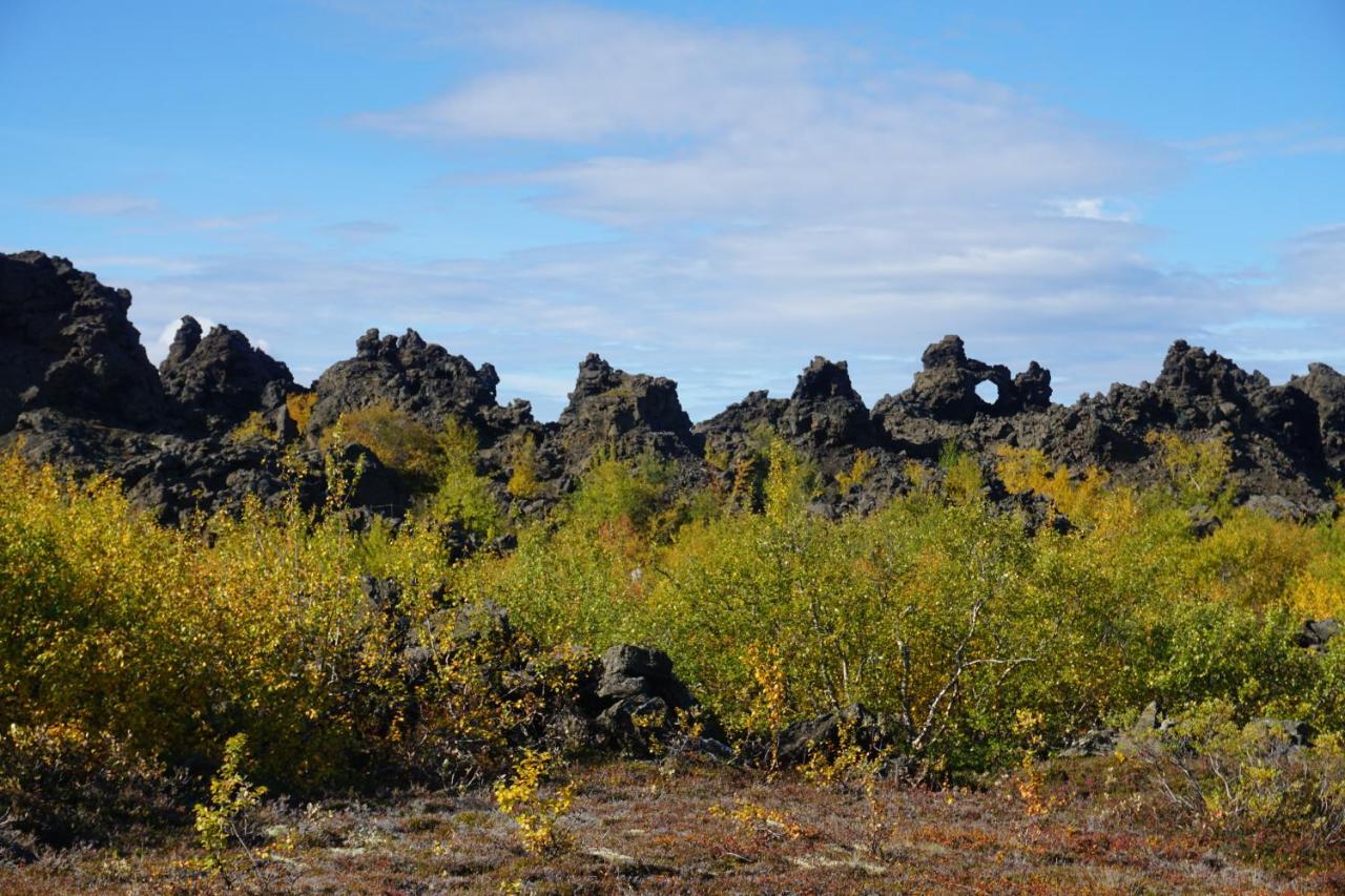 Slow Travel Myvatn - Þufa - Private Homestay Exterior photo